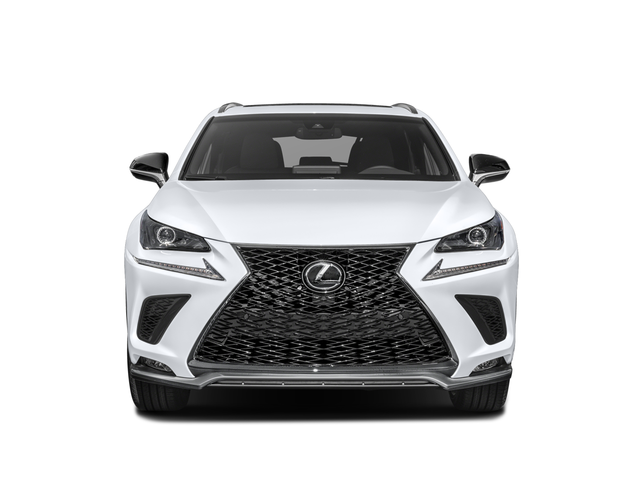 2021 Lexus NX NX 300 F SPORT