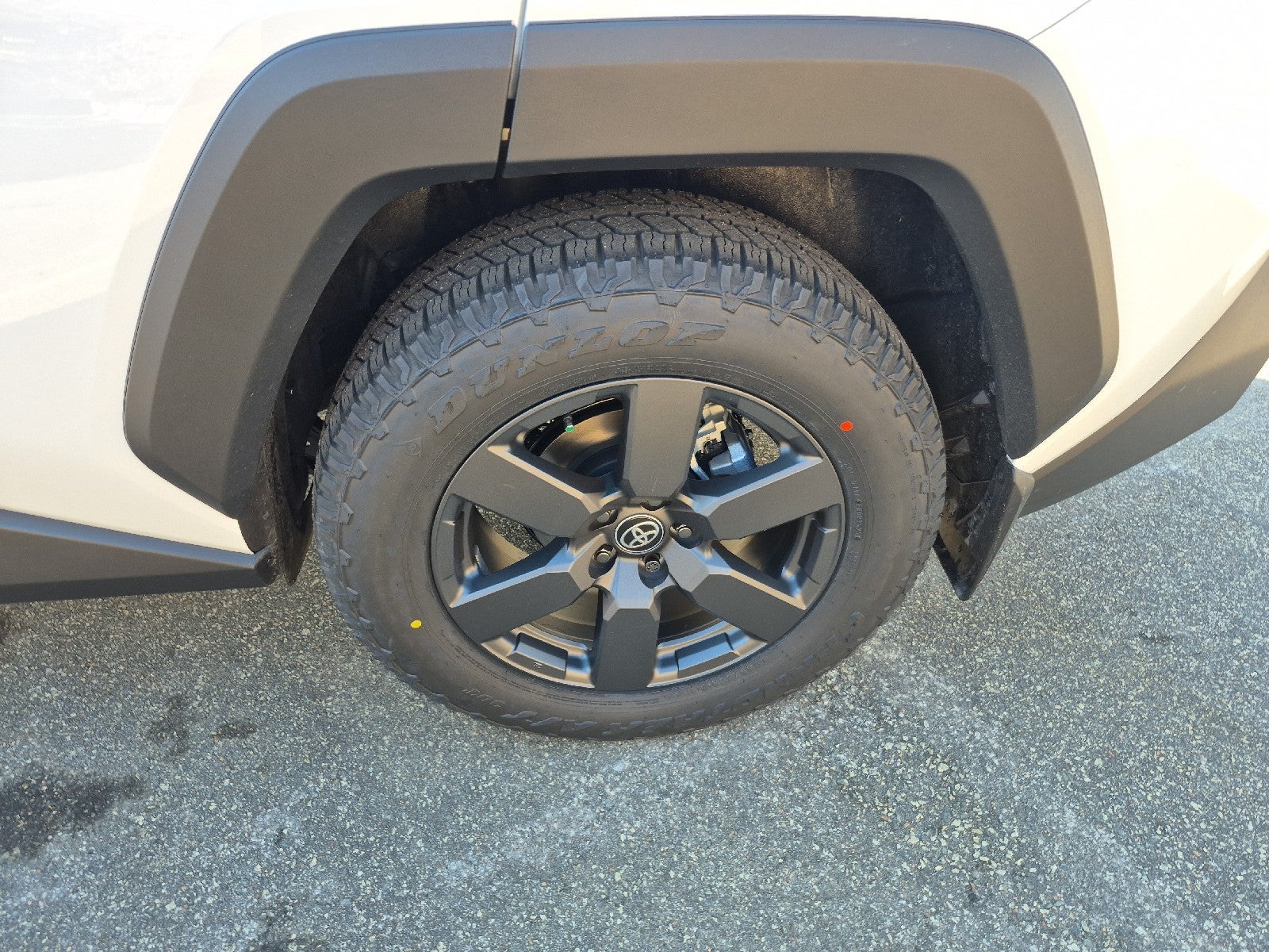 2026 Toyota RAV4 Woodland