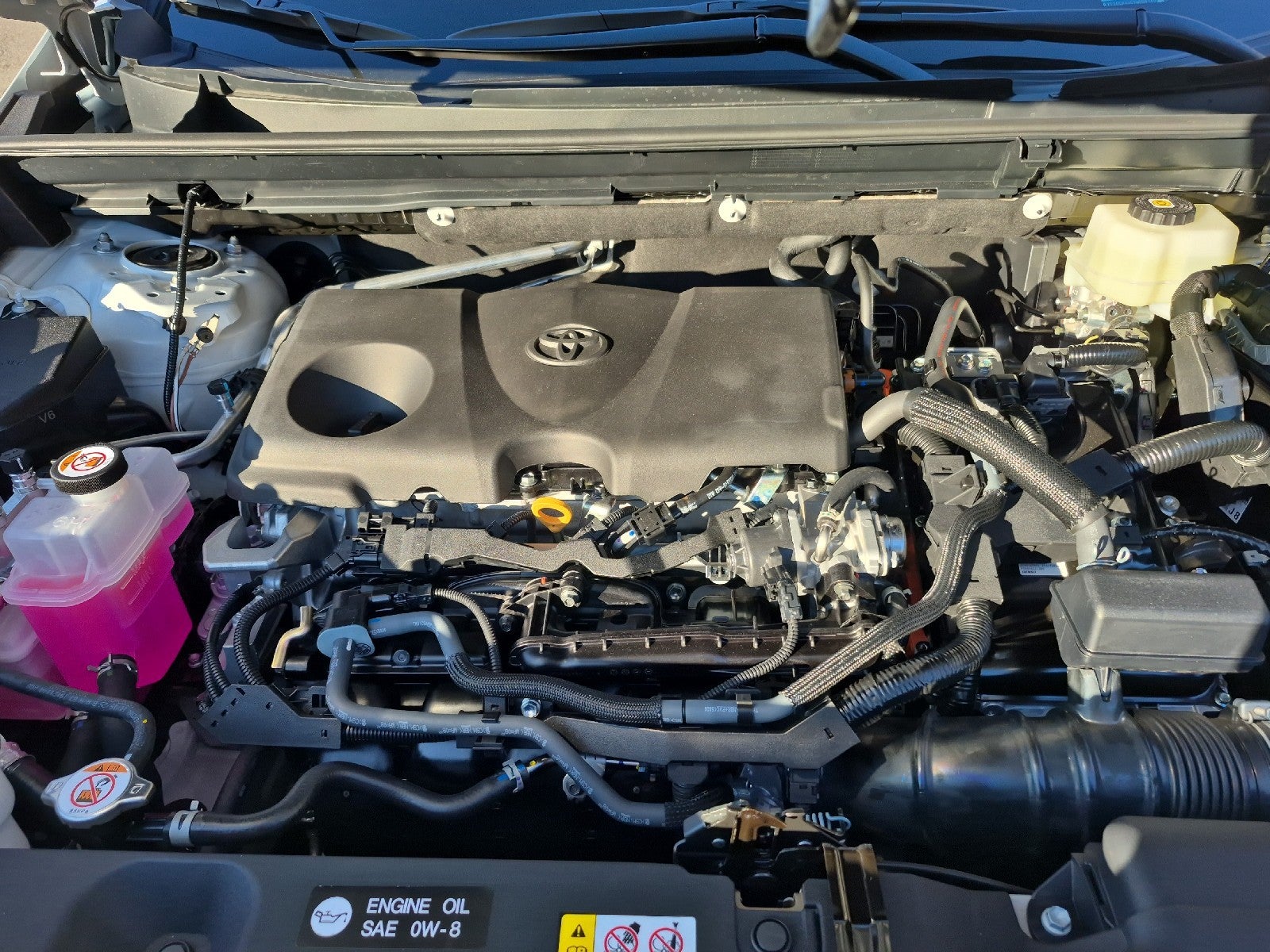 2026 Toyota RAV4 Woodland