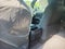2026 Toyota Tacoma 4WD 4WD DOUBLE SR5 5'