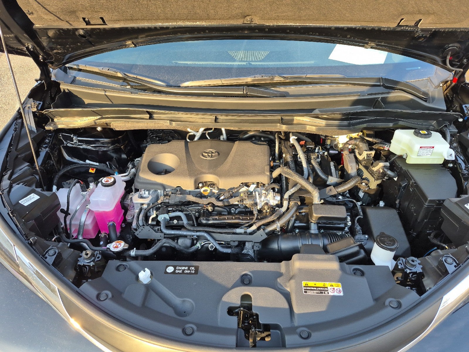 2026 Toyota Sienna 4DR FWD 8P XLE