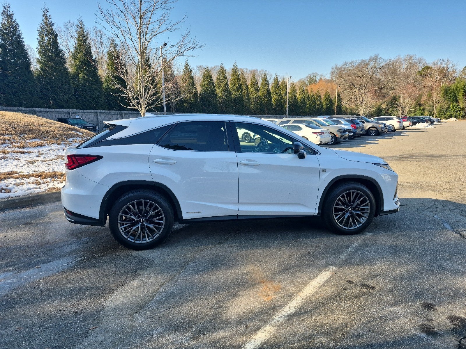 2020 Lexus RX RX 450h F SPORT Performance