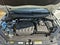 2023 Volkswagen Tiguan S
