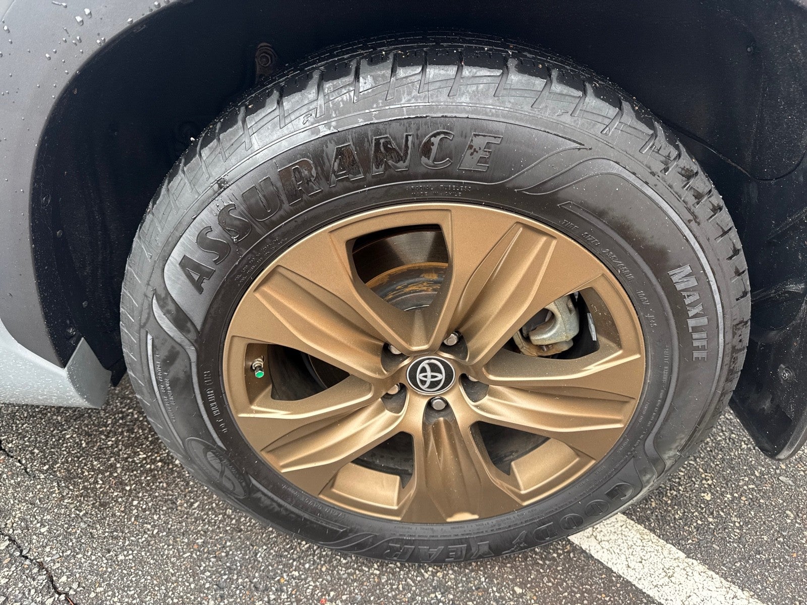 2022 Toyota Highlander Hybrid Bronze Edition