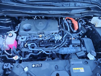 2024 Toyota Sienna XSE