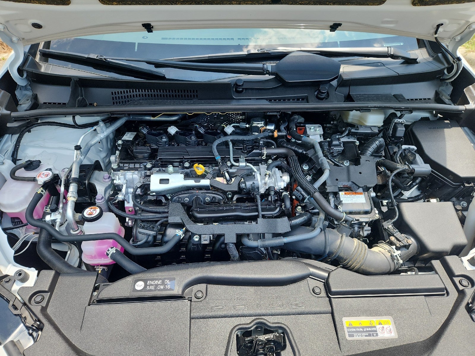 2024 Toyota Prius XLE