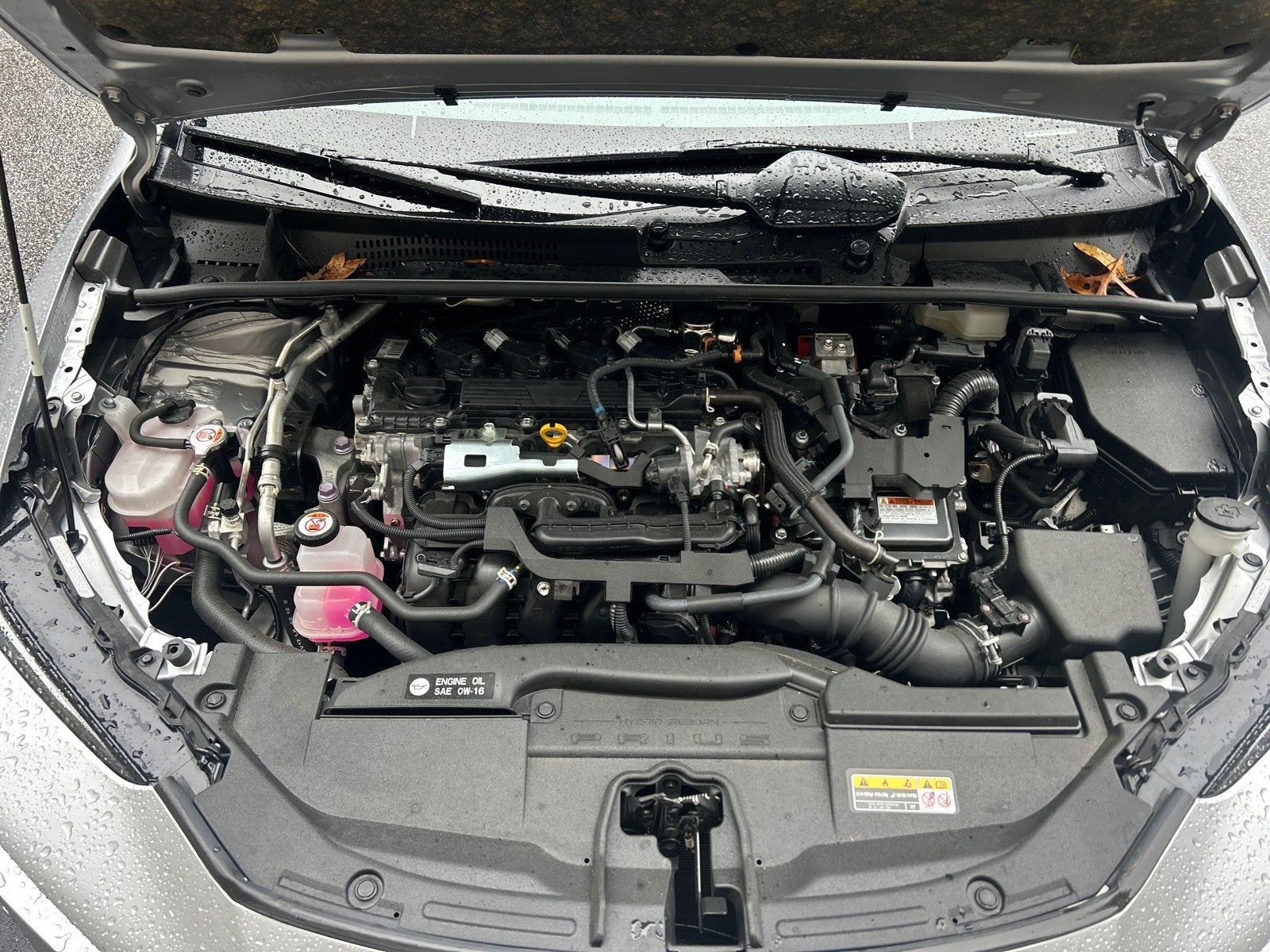 2023 Toyota Prius XLE