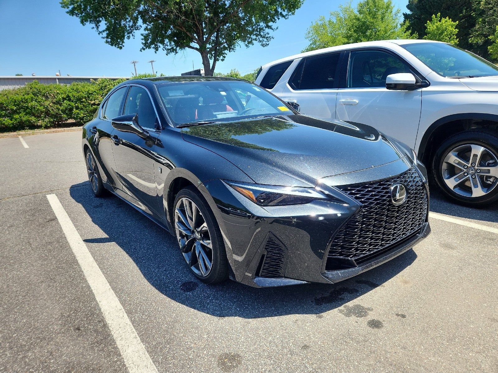 2024 Lexus IS 350 350 F SPORT AWD's photo