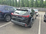 2019 Lexus UX UX 200
