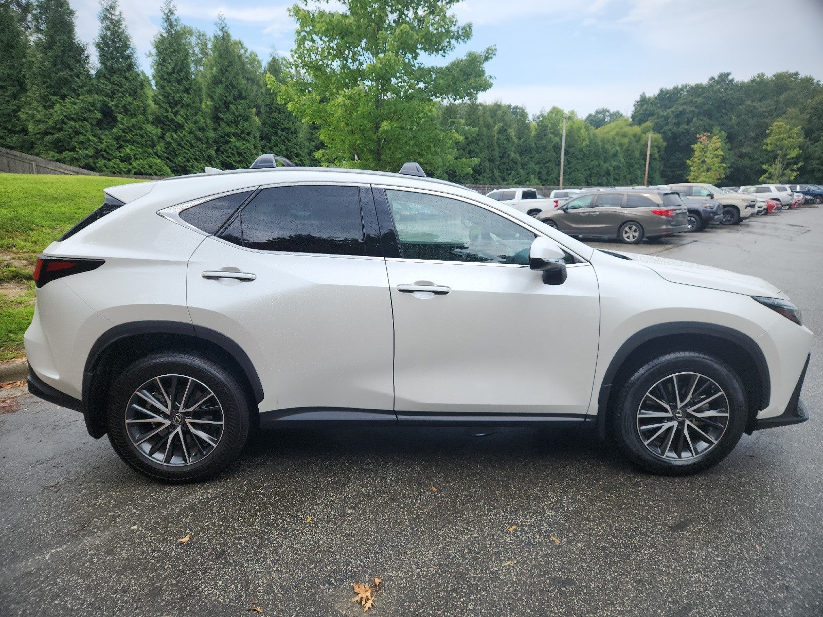 2024 Lexus NX NX 350 Premium