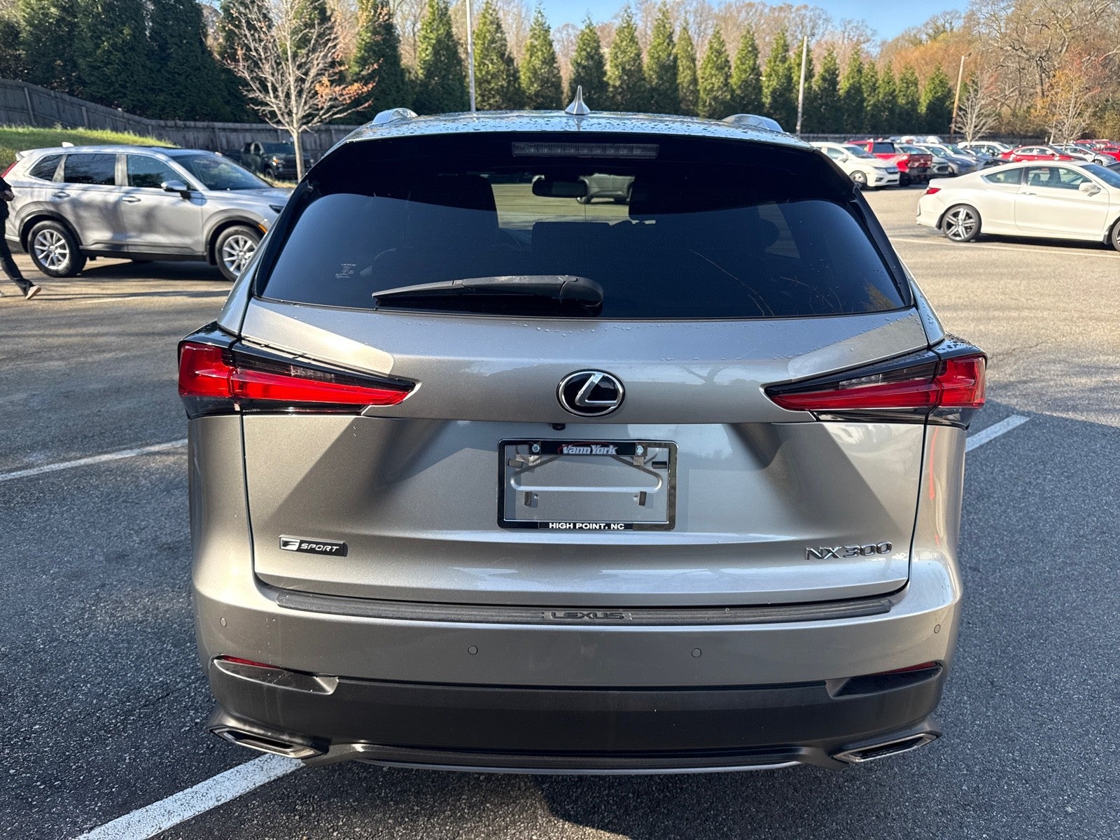 2021 Lexus NX NX 300 F SPORT